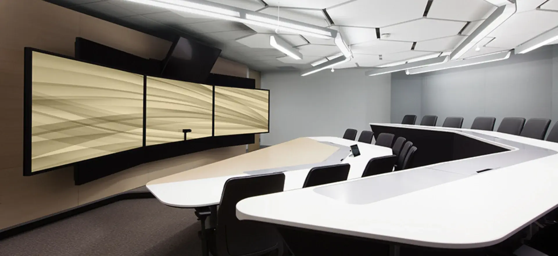 Large Video Conferencing Room